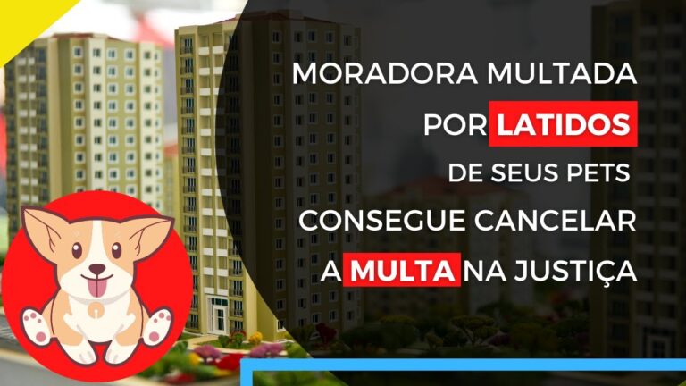 Lei do sil&ecirc;ncio para c&atilde;es: Regras e consequ&ecirc;ncias