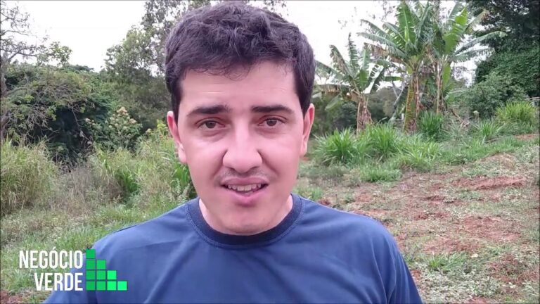 Terreno para Arrendar: Dicas para Encontrar o Melhor Neg&oacute;cio